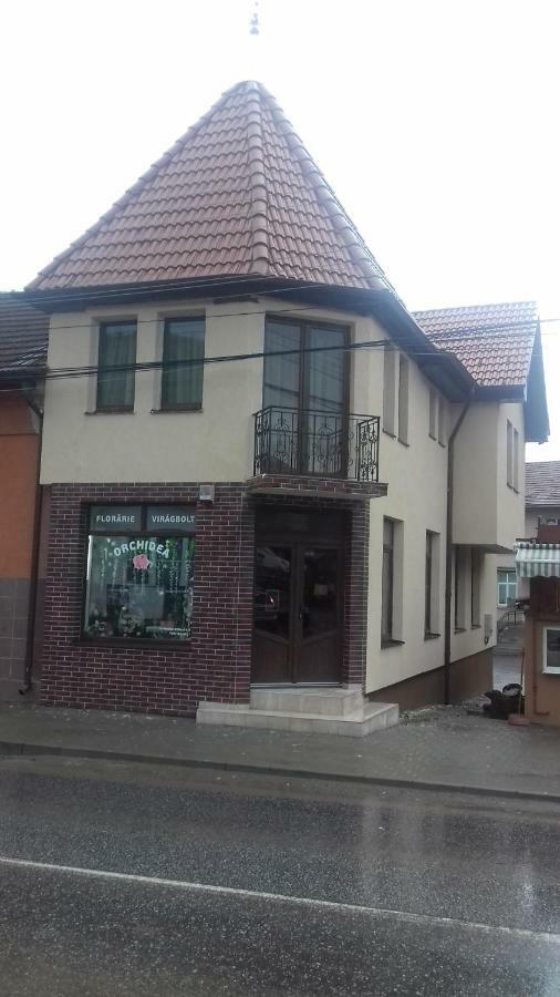 Casa Claudia Hotel Sangeorgiu de Padure Luaran gambar